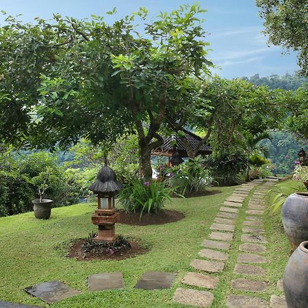 Villa Patria Lovina Exterior foto